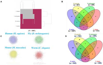 Cross-Species and Human Inter-Tissue Network Analysis of Genes Implicated in Longevity and Aging Reveal Strong Support for Nutrient Sensing
